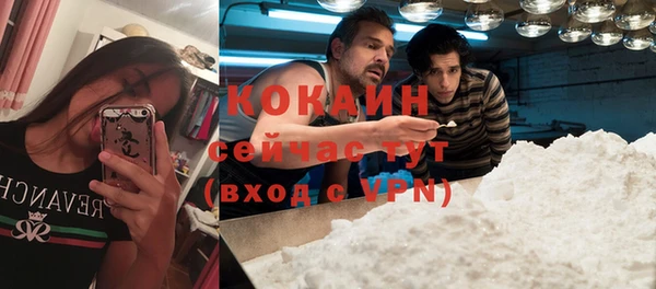 молекула духа Наволоки