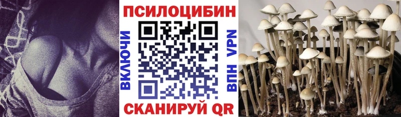Галлюциногенные грибы прущие грибы  Ковылкино 